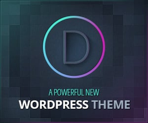 Divi theme